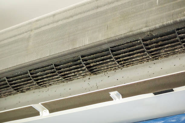 Best Local Air Duct Cleaning Services  in Attla, AL